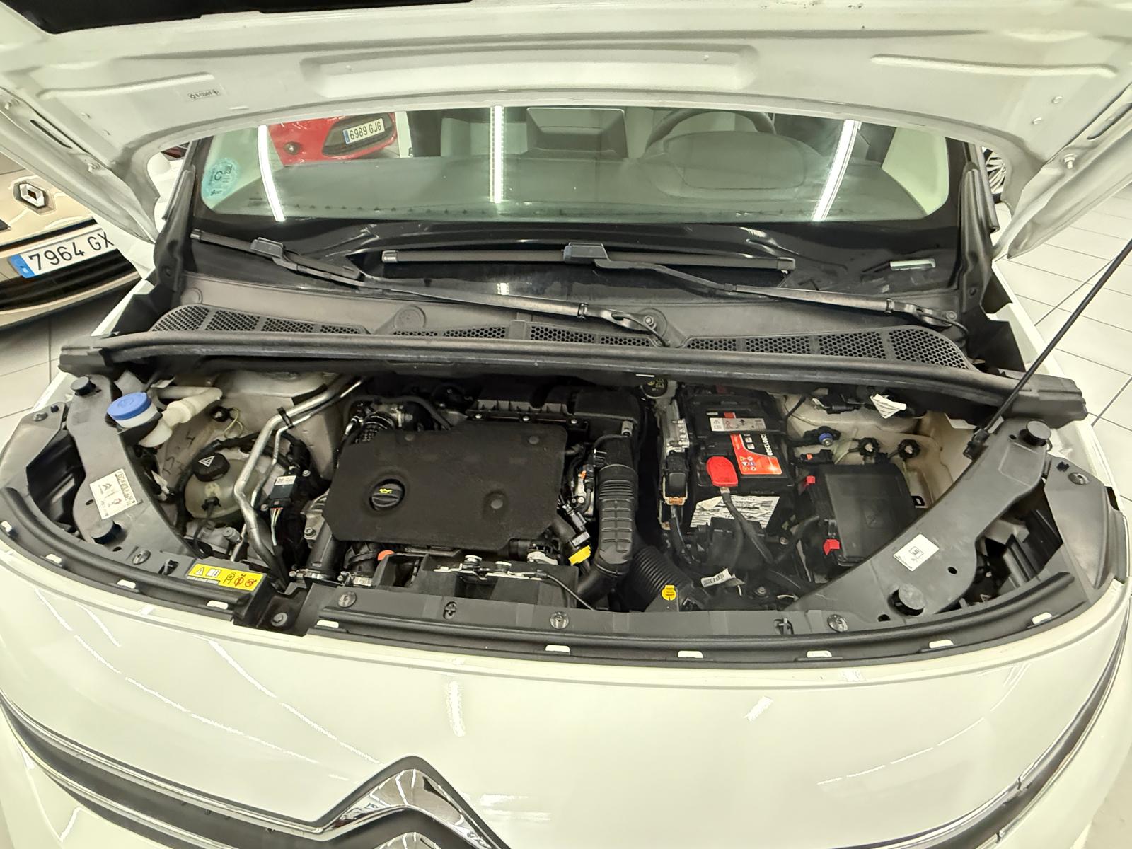 CITROEN Berlingo Talla M BlueHDi 100 SS FEEL